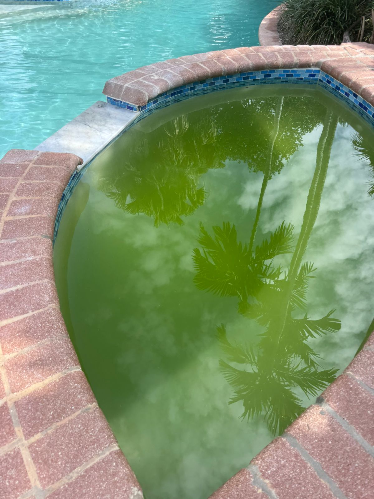 WhatsApp Image 2025-12-05 at 13.18.58